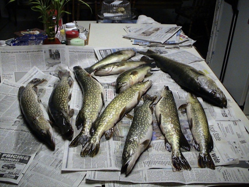 Our Fishing